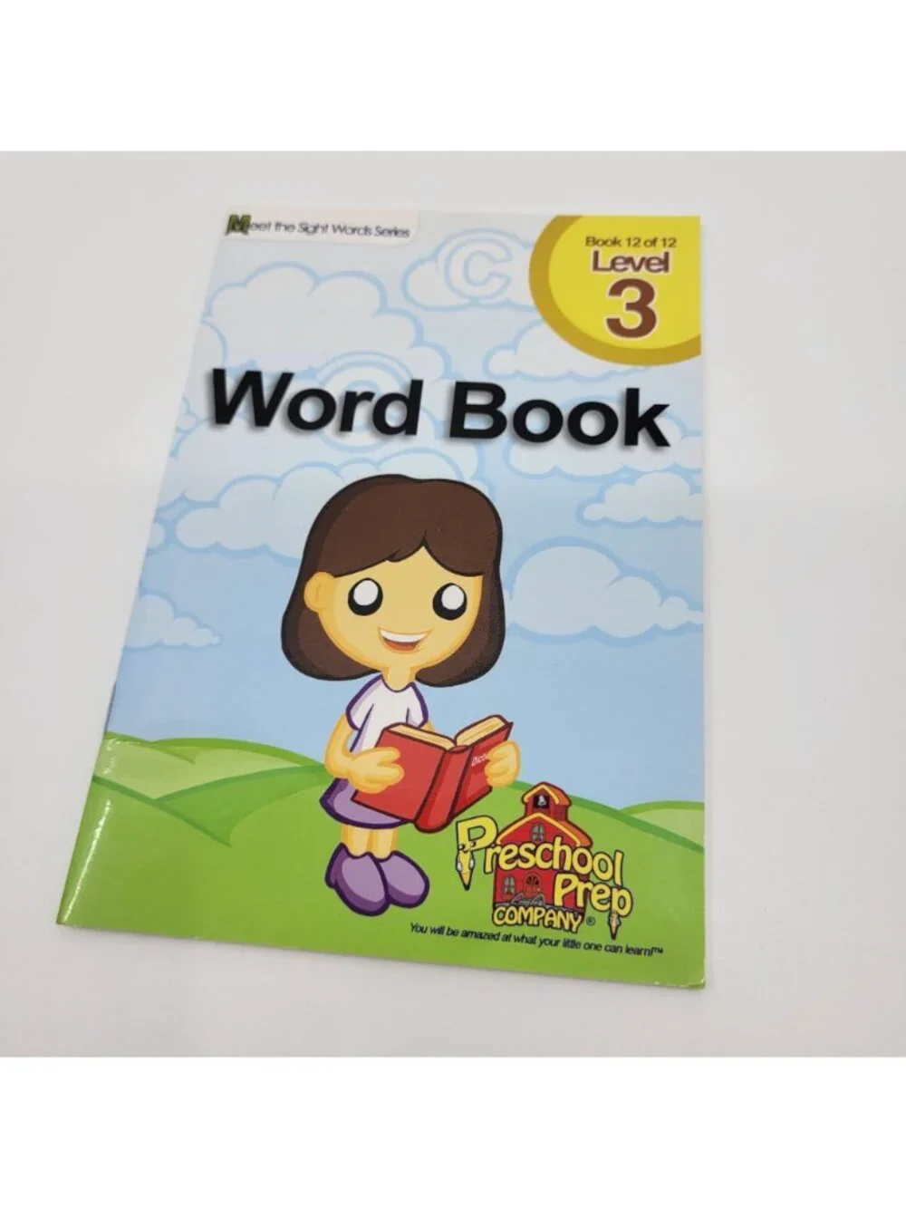 MEET THE SIGHT WORDS Lot of 13 Level 3 Reader Books - BK018